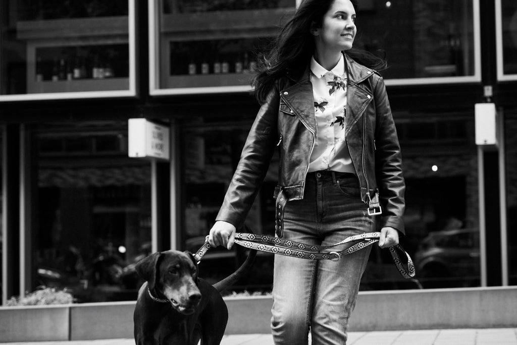 Out Of My Box Dog Collar - Black & Cream - NEW PETS ON THE BLOCK.COM