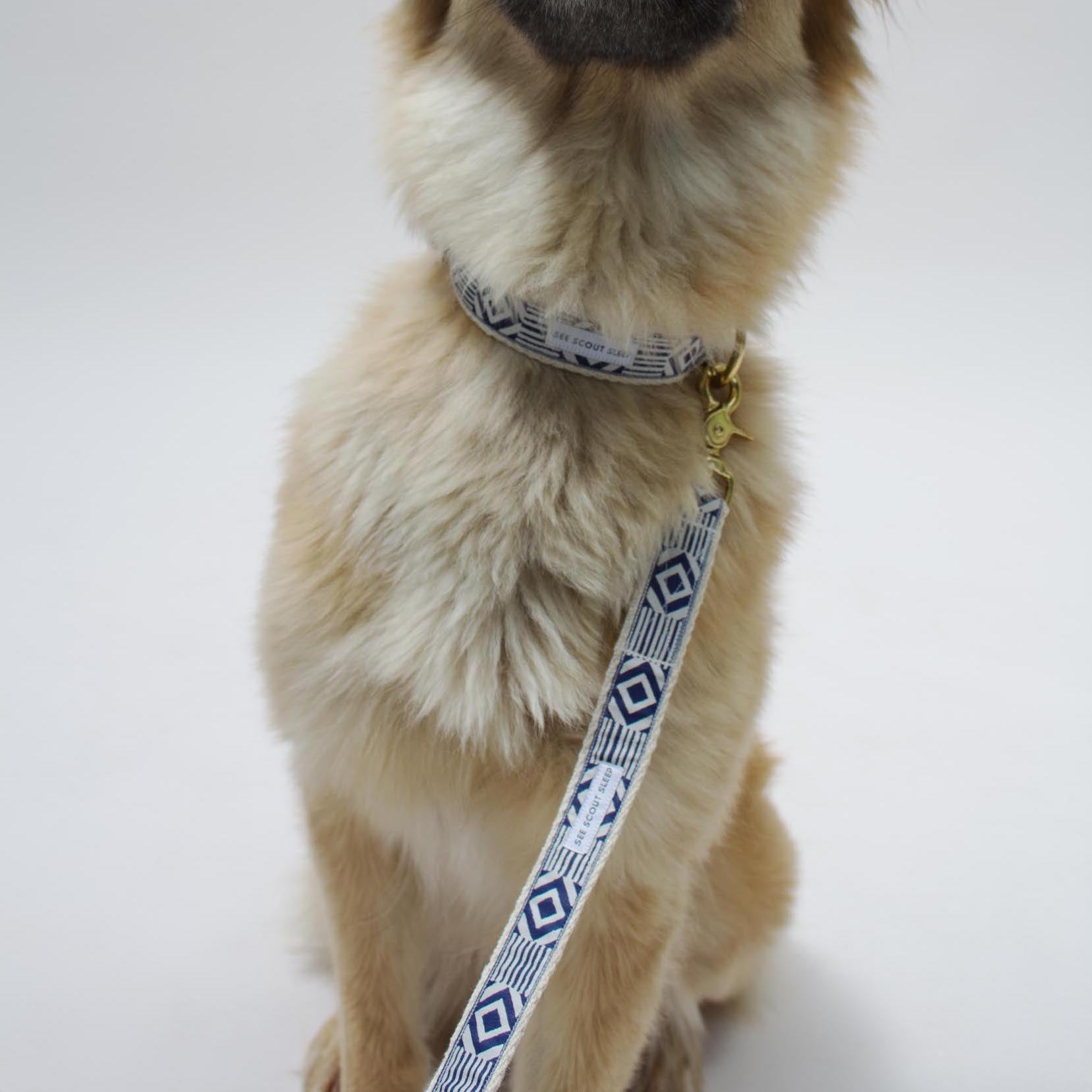 Out Of My Box City Leash - Navy & Cream - NEW PETS ON THE BLOCK.COM