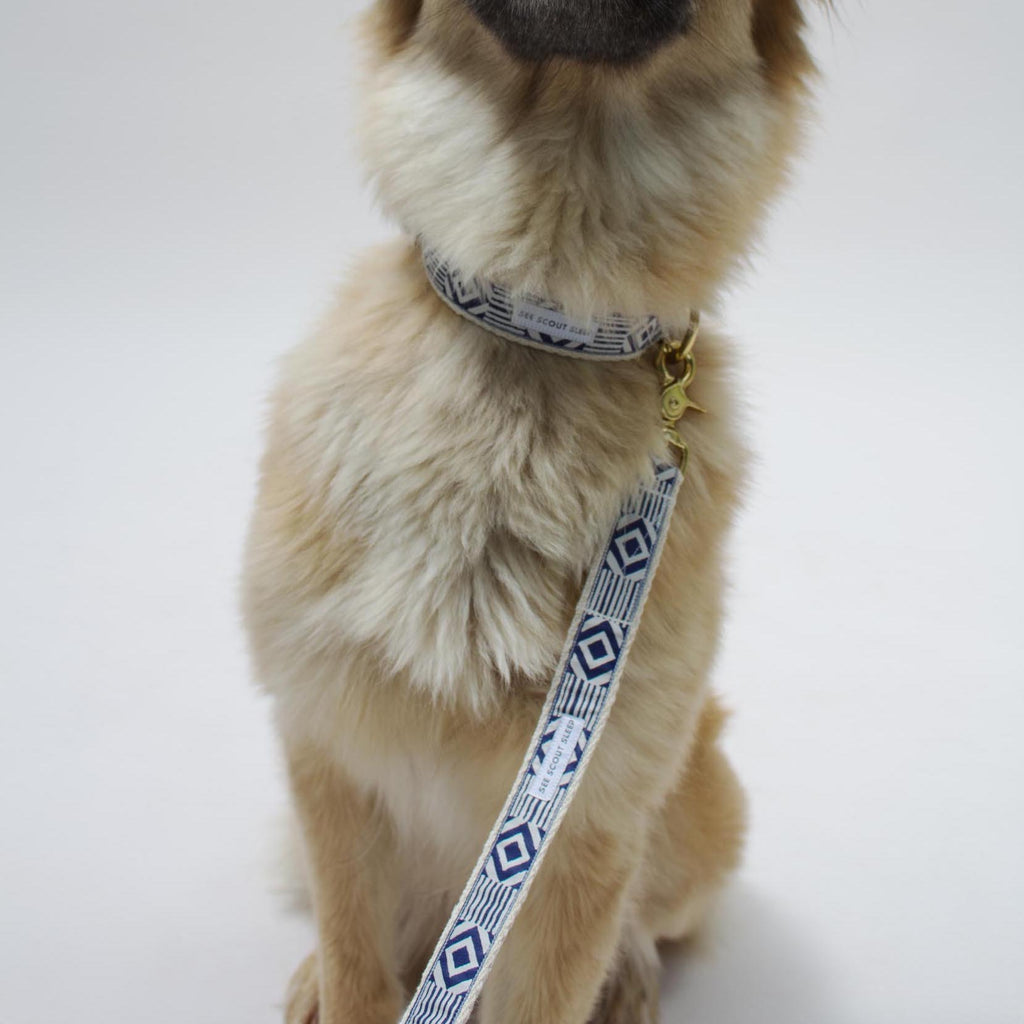 Out Of My Box Dog Collar - Navy & Cream - NEW PETS ON THE BLOCK.COM