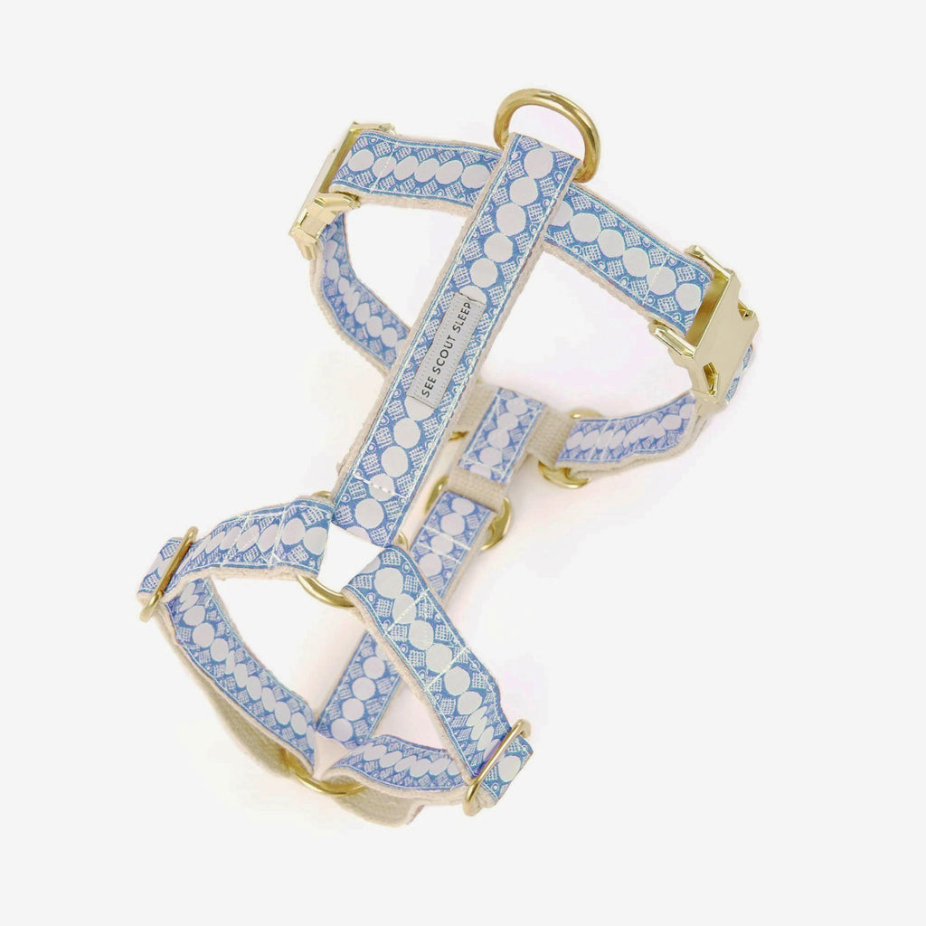 You’re A Stud Dog Harness - Cream & Lake Blue - NEW PETS ON THE BLOCK.COM