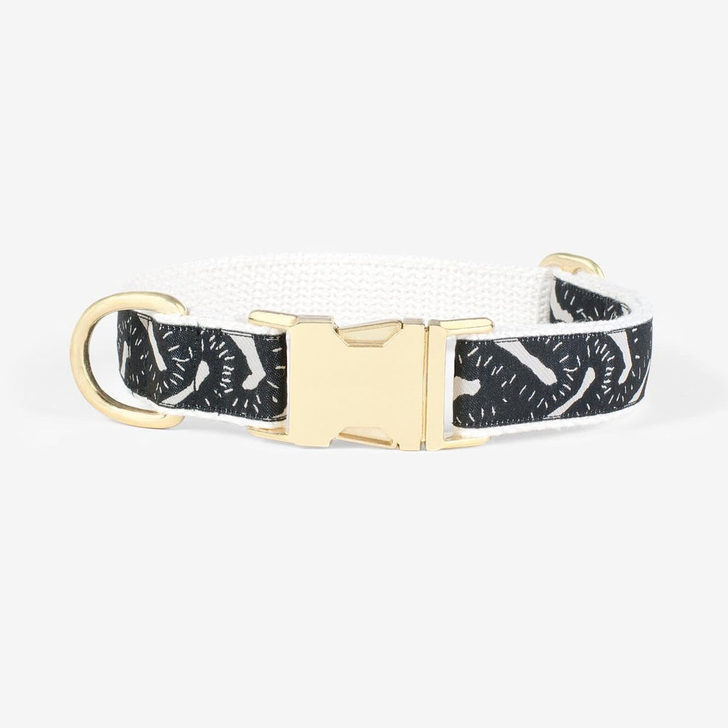 Life of the Party Dog Collar - Black & Cream - NEW PETS ON THE BLOCK.COM