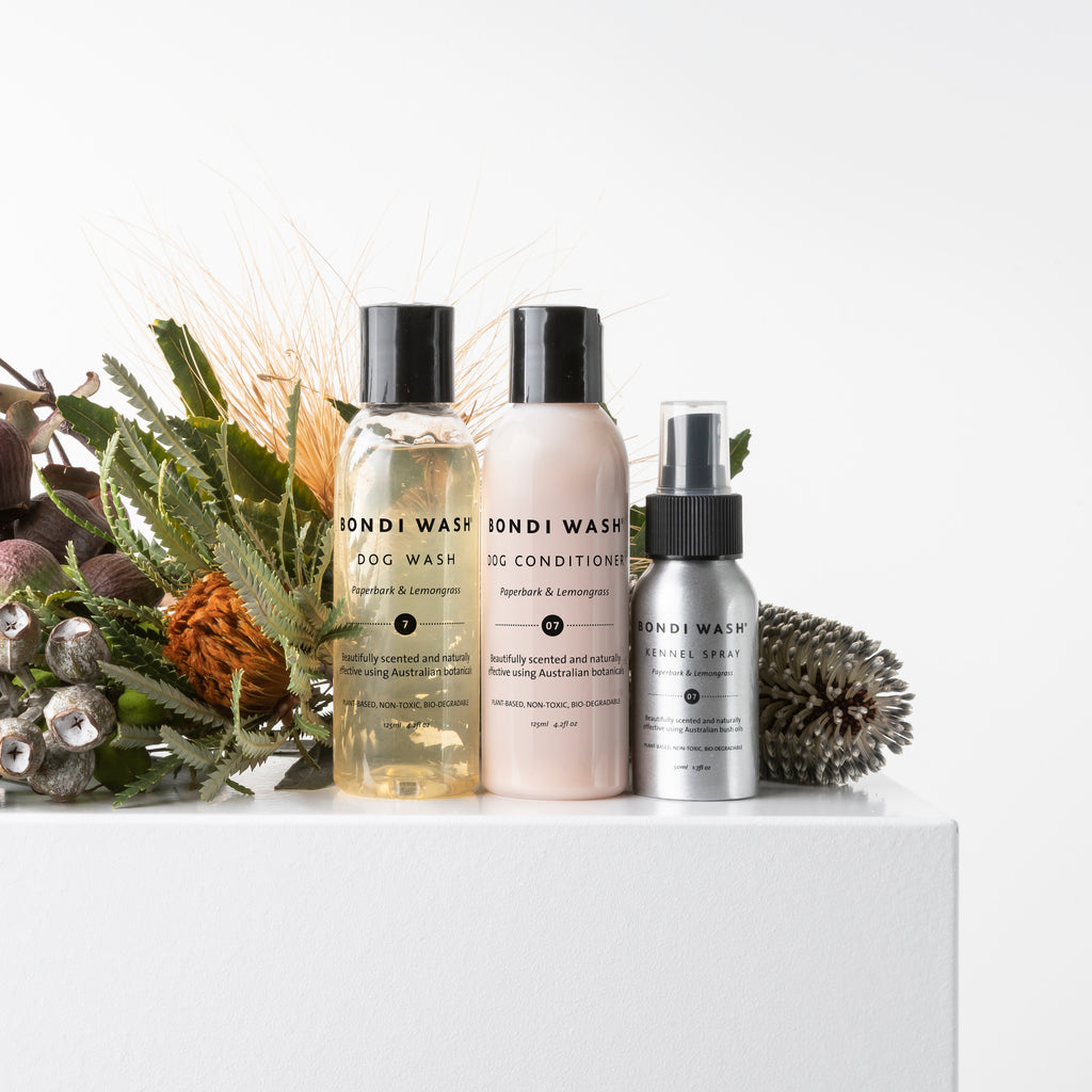 quality natural dog wash shower bondi wash sale natural