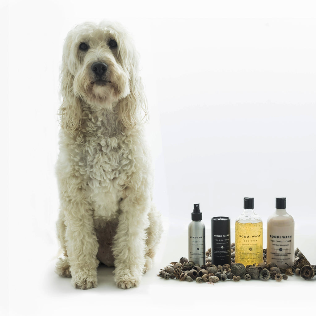 Dog Conditioner Paperbark & Lemongrass - NEW PETS ON THE BLOCK.COM