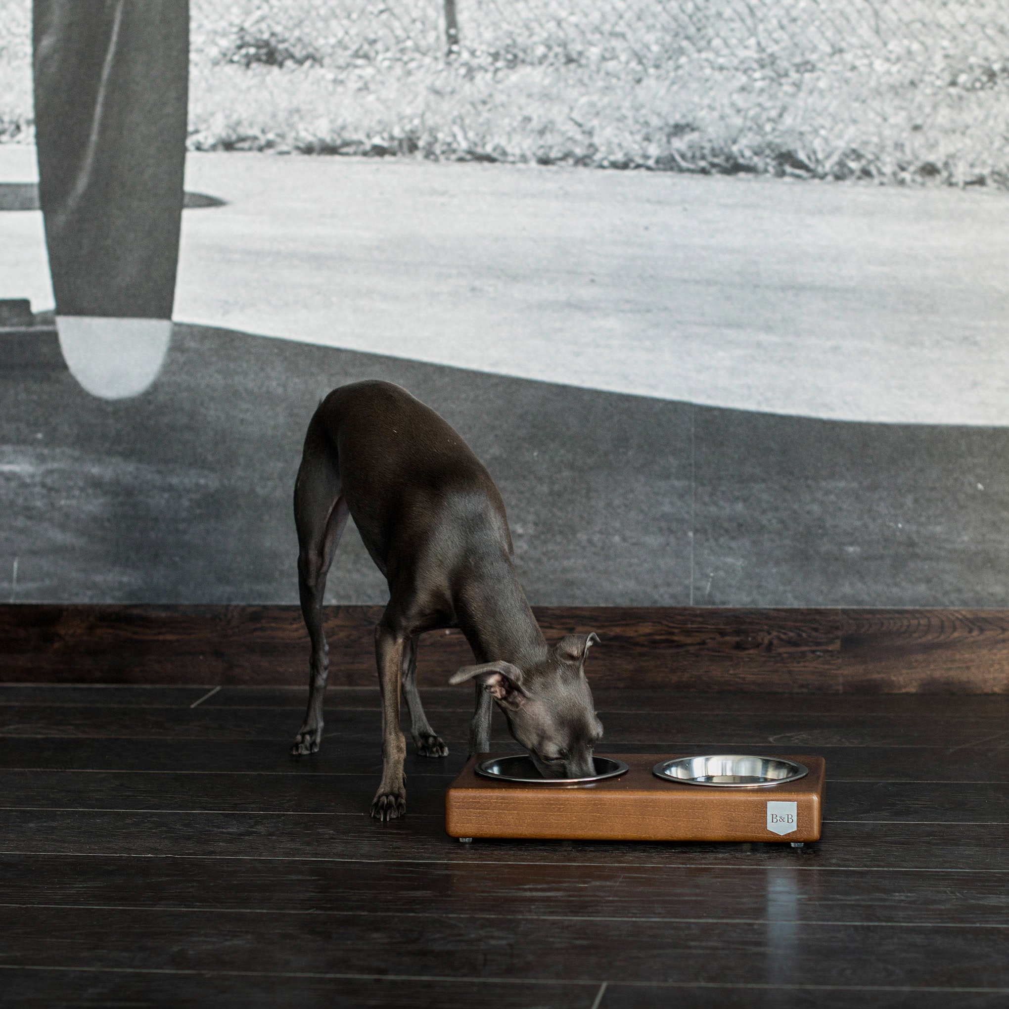 Duo Dog/Cat Bowl - Amber - NEW PETS ON THE BLOCK.COM