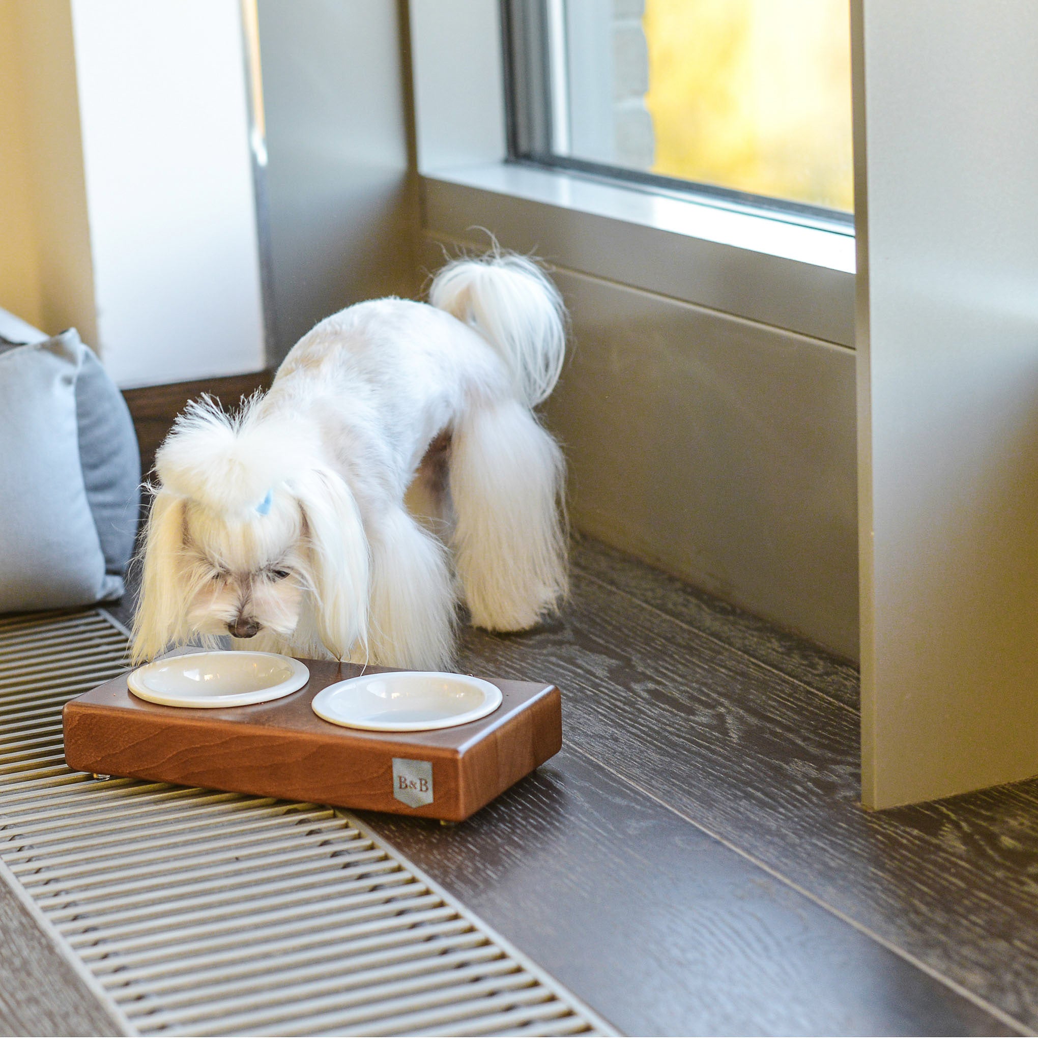 Duo Ceramic Dog/Cat Bowl - Amber - NEW PETS ON THE BLOCK.COM