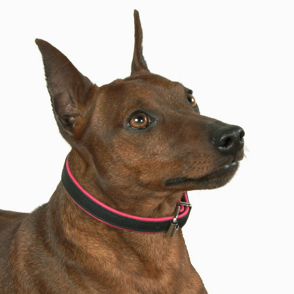 New pets on the block Soft Leather Collar Matte Black Cream sale