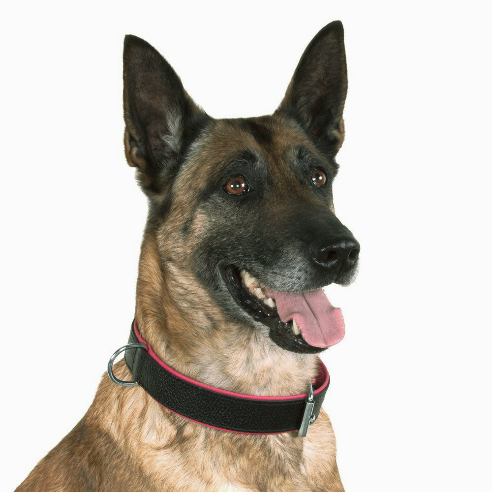 New pets on the block Soft Leather Collar Matte Black Cream