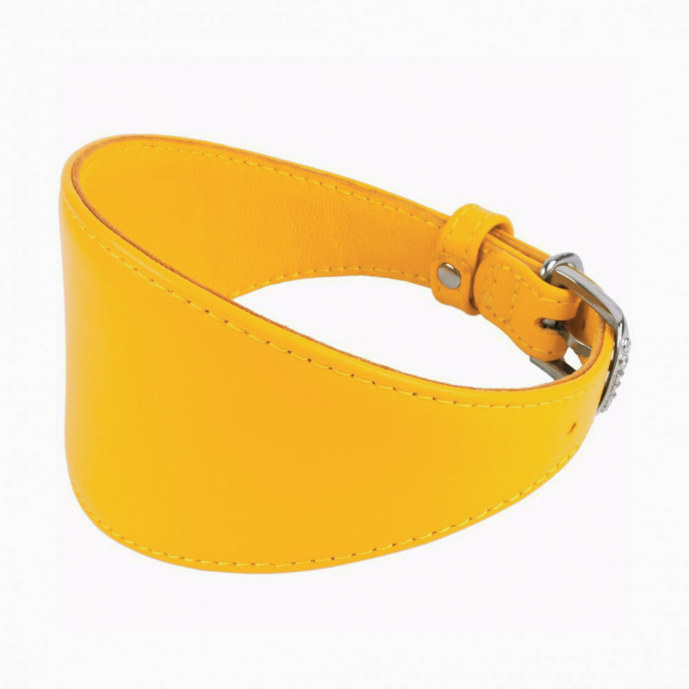 New pets on the block Soft Leather Dog Collar Multi Functional Leash for Whippet Lurcher Borzoi Greyhound yellow matching set sale