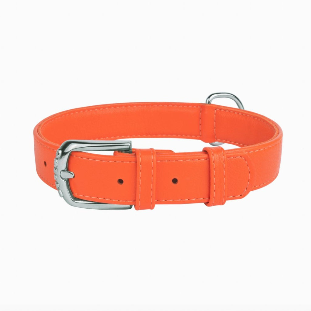 New pets on the block Soft Padded Leather Dog Collar Multi Functional Dog Leash Orange matching set sale