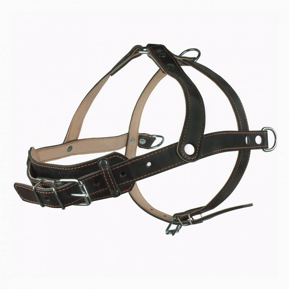 New pets on the block durable non pull leather dog harness black strong sale