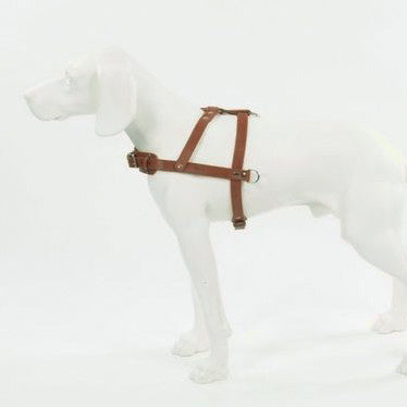 New pets on the block durable non pull dog harness leash matching set brown sale