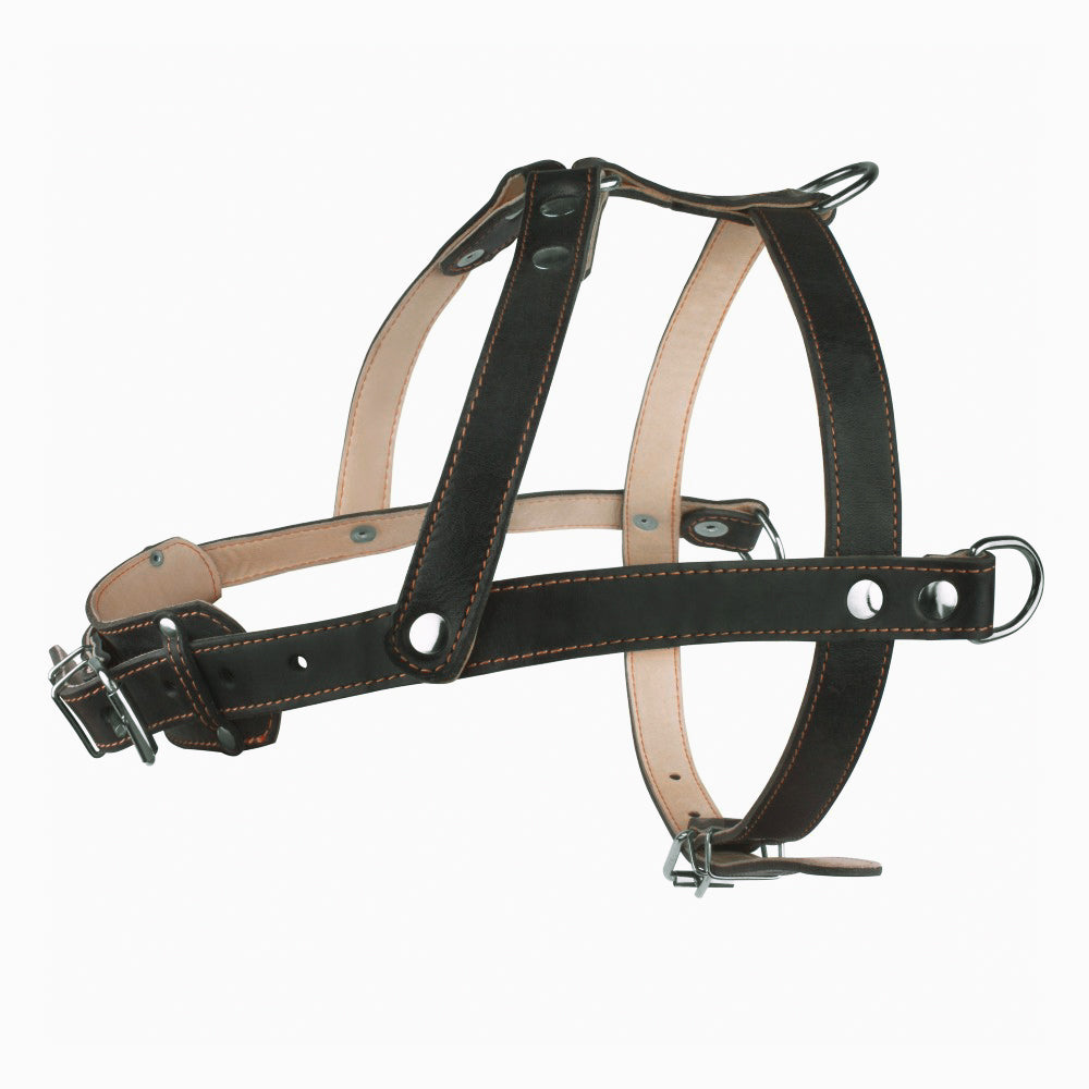 New pets on the block durable non pull leather dog harness black strong sale