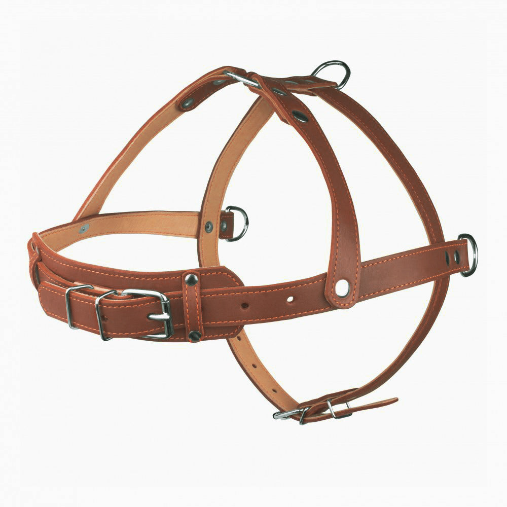 New pets on the block durable non pull dog harness leash matching set brown sale