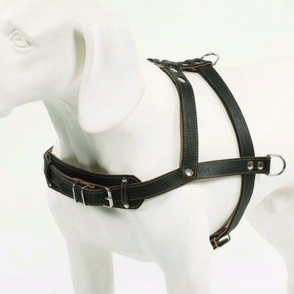 New pets on the block durable non pull leather dog harness black strong sale uitverkoop