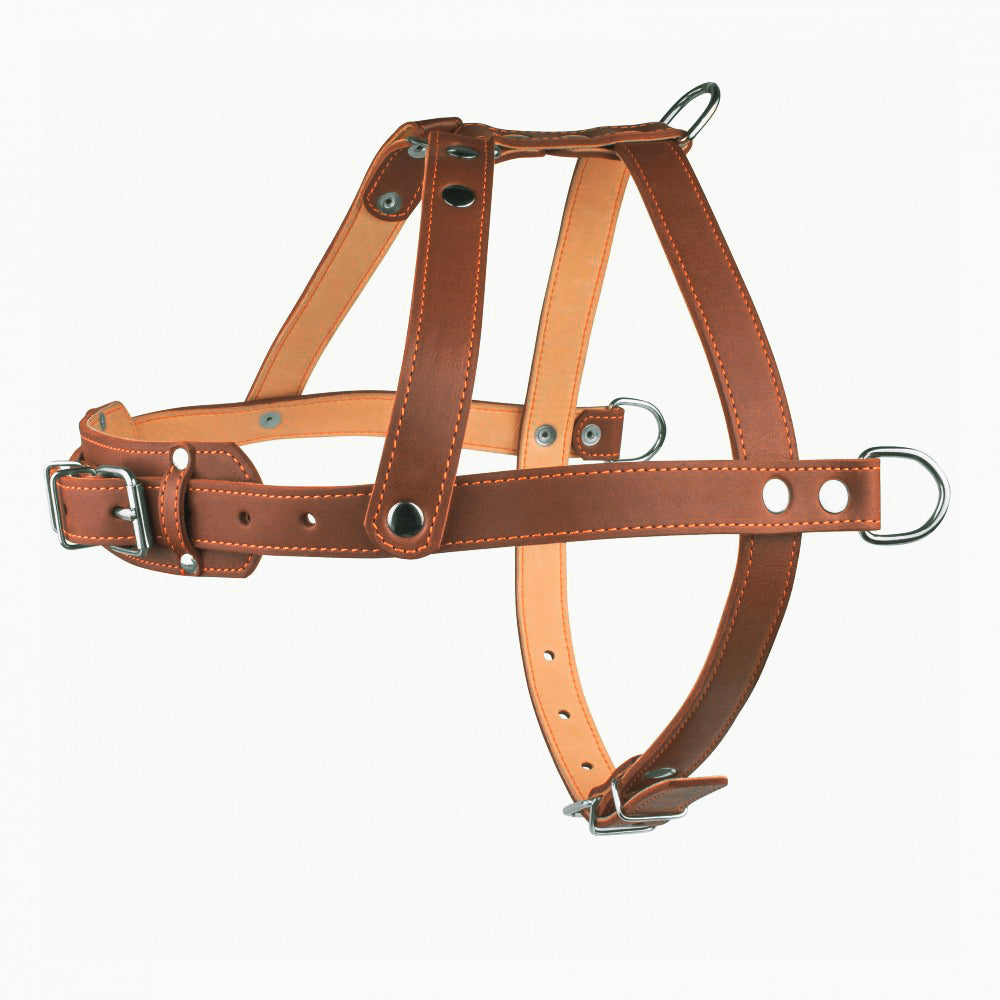 New pets on the block durable non pull dog harness leash matching set brown