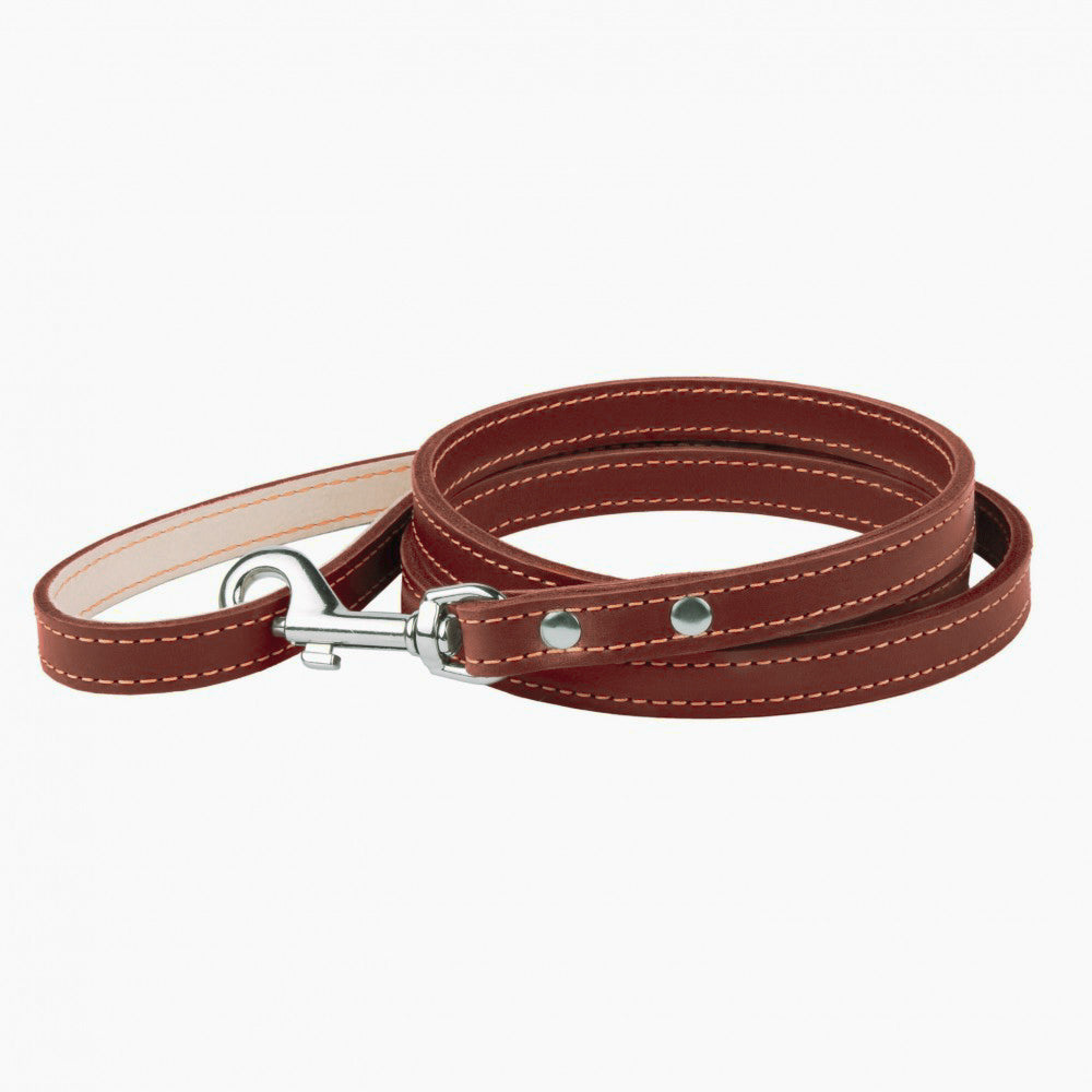 New pets on the block durable non pull dog harness leash matching set brown uitverkoop