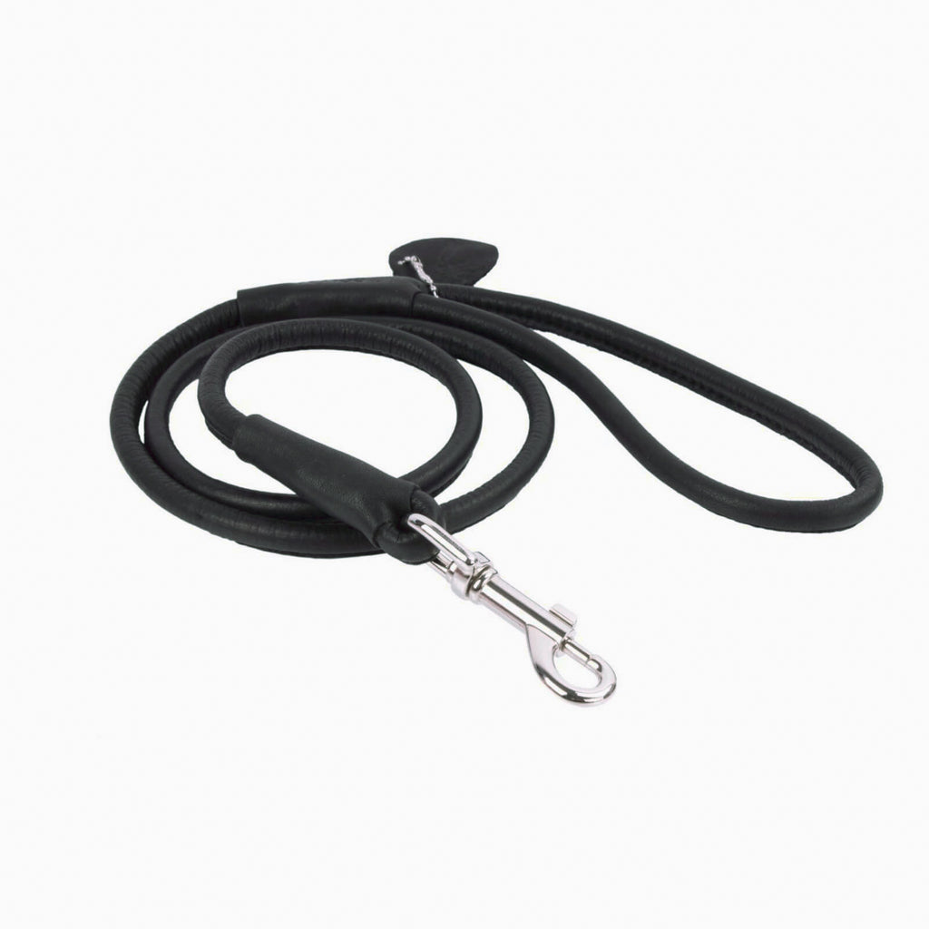 New pets on the block fixed leather leash black quality sale