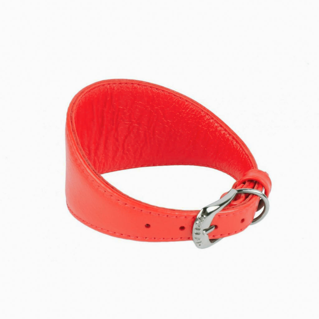 New pets on the block Soft Leather Dog Collar Multi Functional Dog Leash Whippet Lurcher Borzoi Greyhound Red matching set uitverkoop