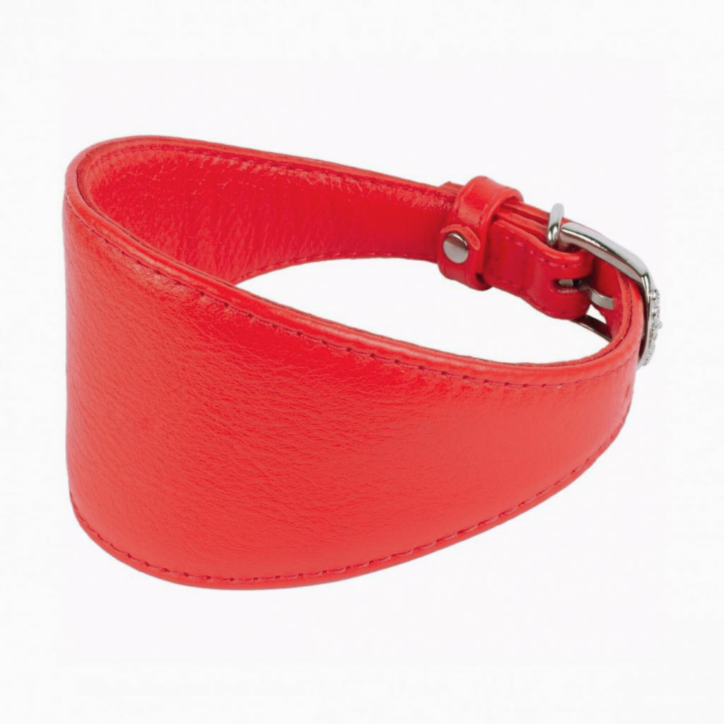 Soft Leather Collar & Multi Functional Leash Set - Red
