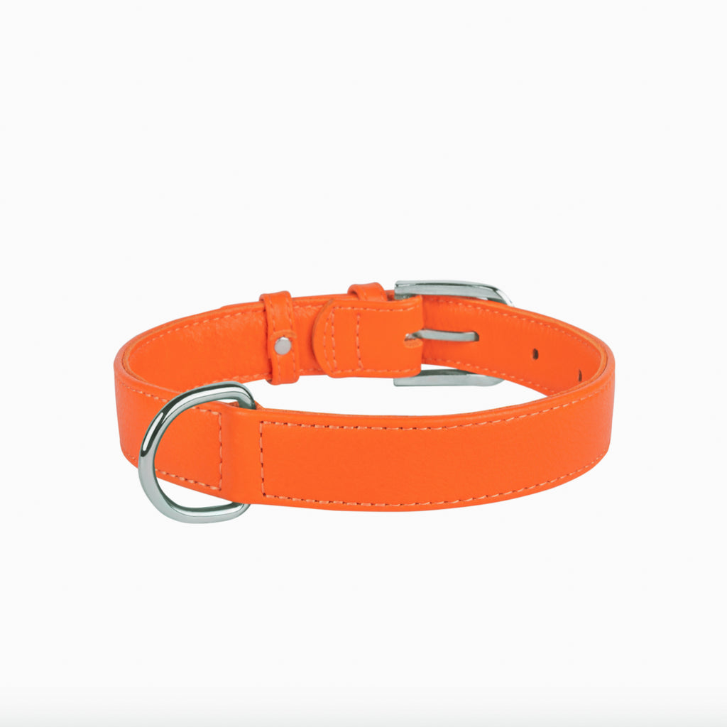 New pets on the block Soft Padded Leather Dog Collar Multi Functional Dog Leash Orange matching set sale