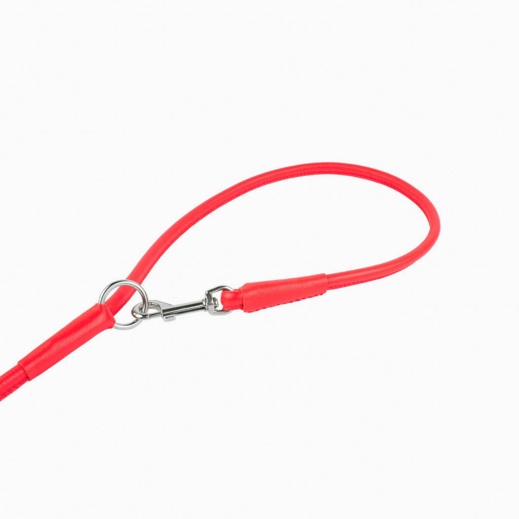 New pets on the block Soft Leather Dog Collar Multi Functional Dog Leash Whippet Lurcher Borzoi Greyhound Red matching set