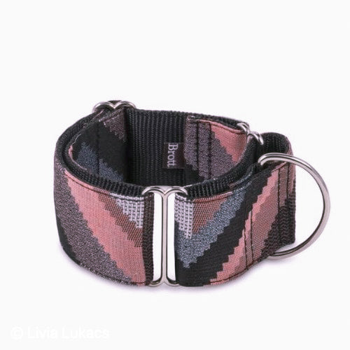 Textura Galera Dog Collar & Leash Set - Multicolor