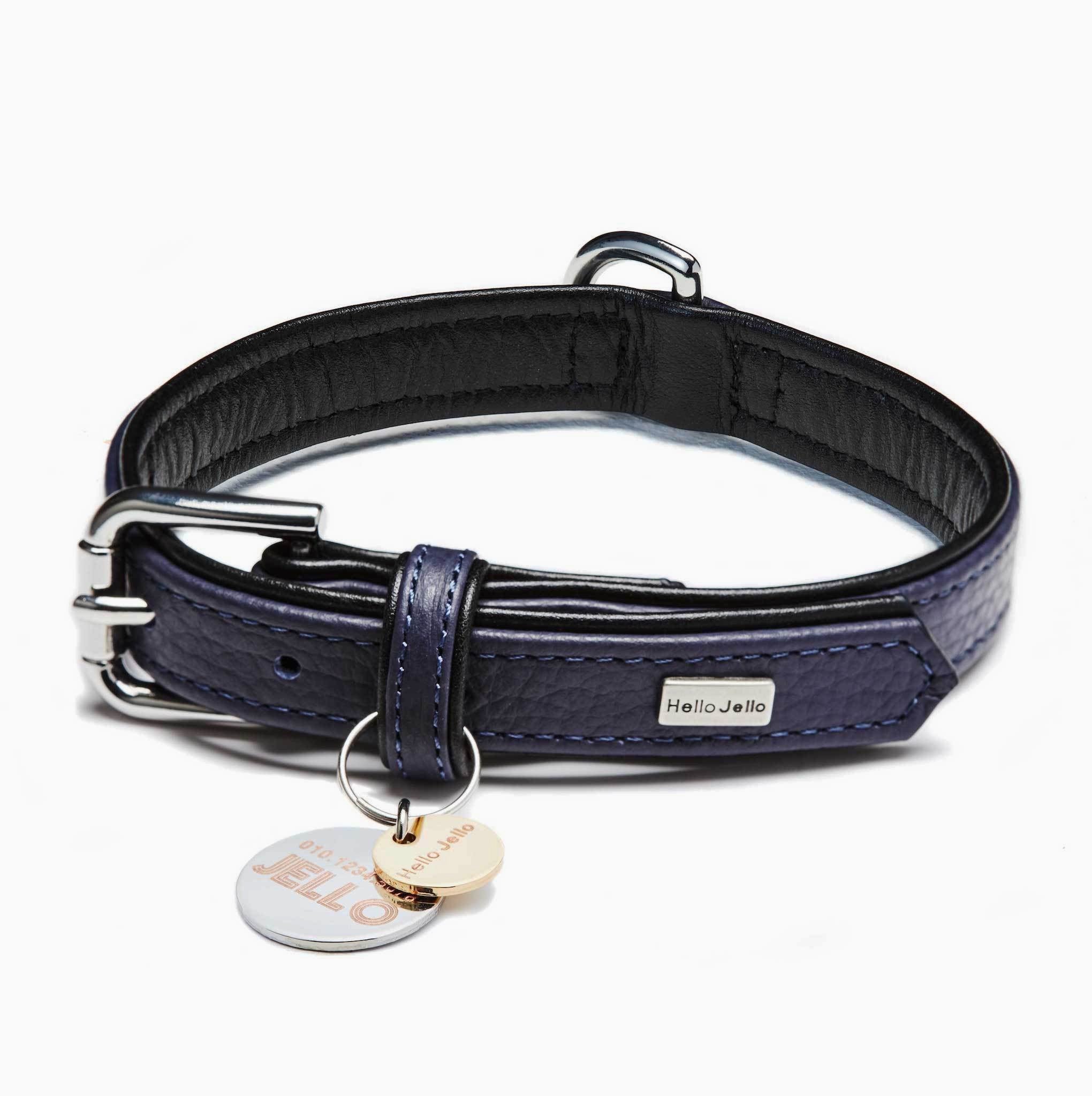 Palette Series Dog Collar - Navy & Black - NEW PETS ON THE BLOCK.COM