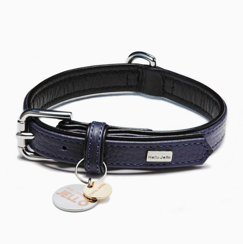 Palette Series Dog Collar - Navy & Black