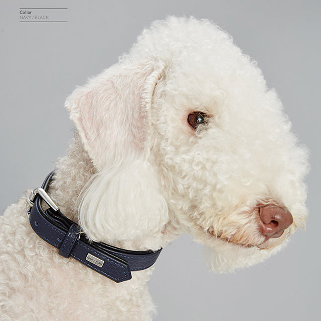 Palette Series Dog Collar - Navy & Black - NEW PETS ON THE BLOCK.COM