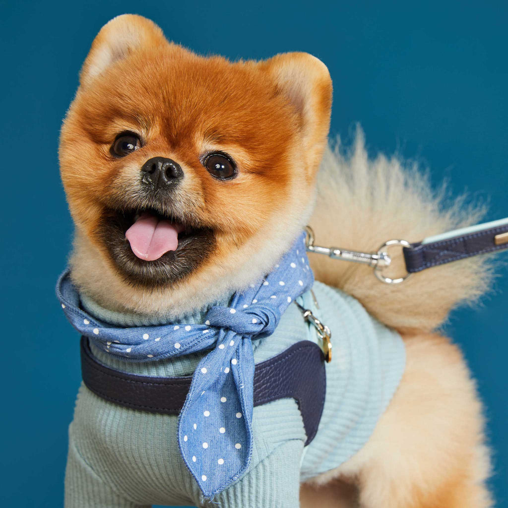 Palette Series Dog Harness - Navy & Mint - NEW PETS ON THE BLOCK.COM