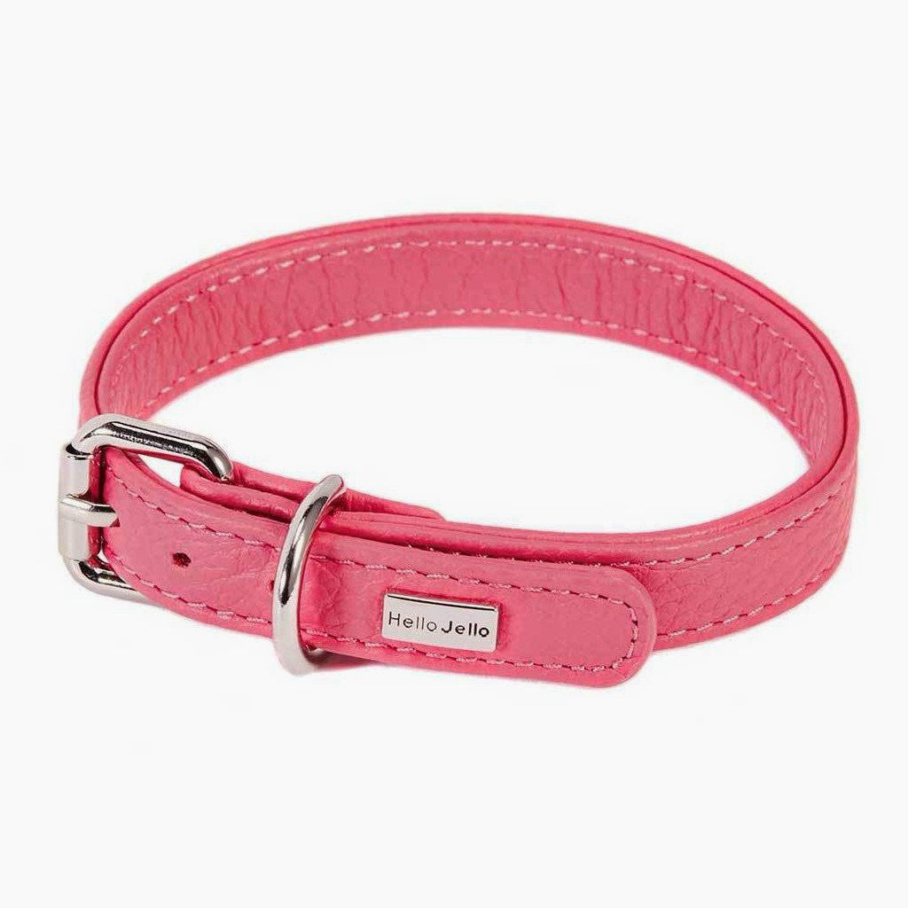 Pop Series Dog Collar - Pink - NEW PETS ON THE BLOCK.COM