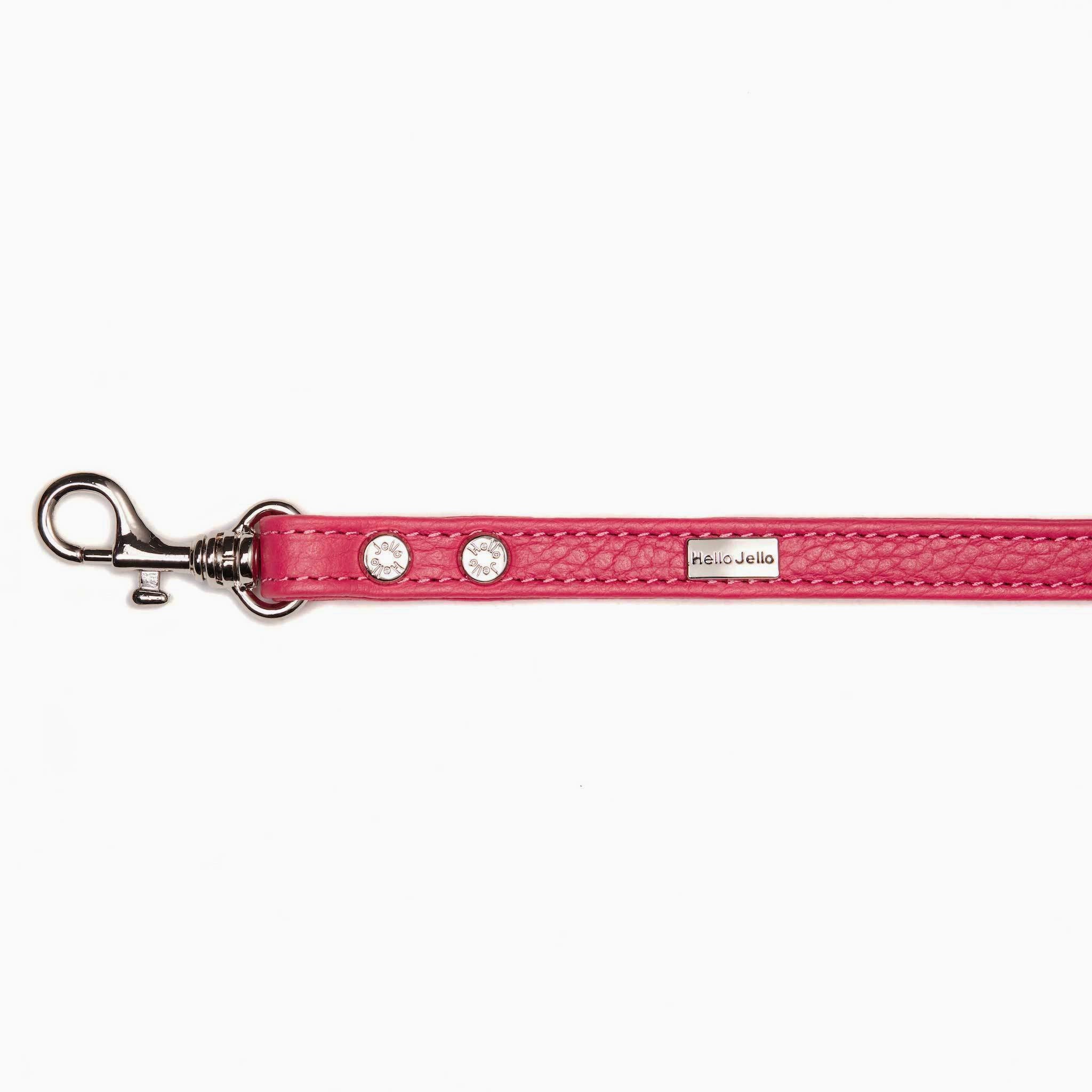 Pop Series Dog Leash - Pink - NEW PETS ON THE BLOCK.COM
