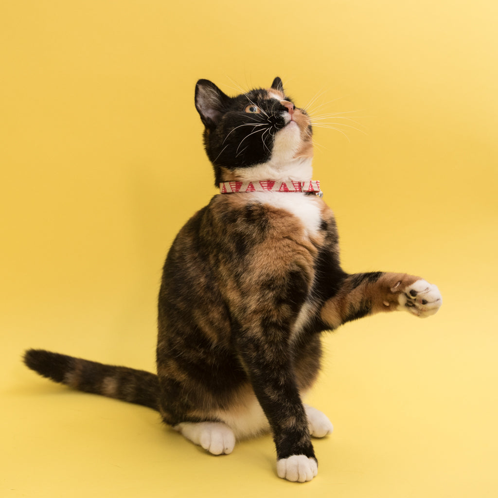 Geo Cat Collar - Pink - NEW PETS ON THE BLOCK.COM