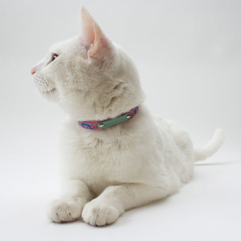 Nebula Cat Collar - Mint