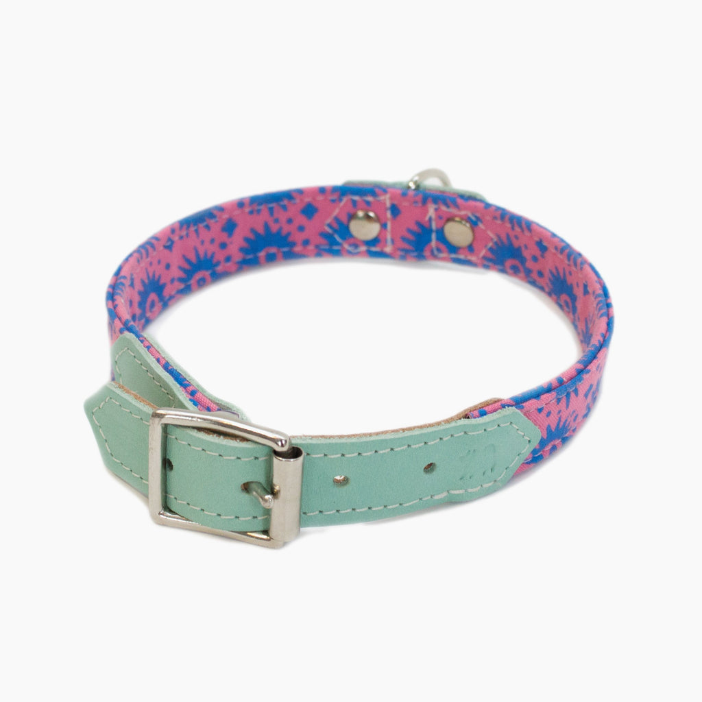 Nebula Dog Collar - Mint - NEW PETS ON THE BLOCK.COM