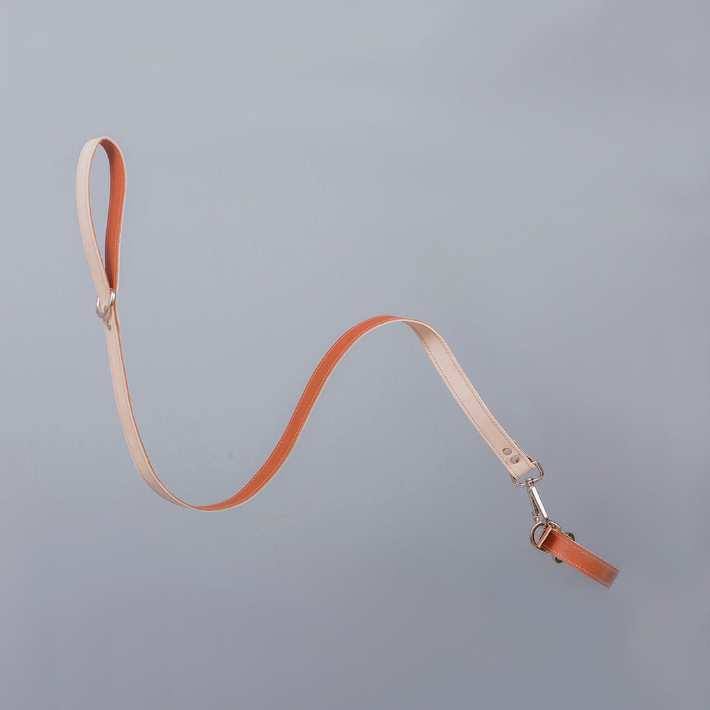 Minimalist Fixed Dog Leash - Caramel - NEW PETS ON THE BLOCK.COM