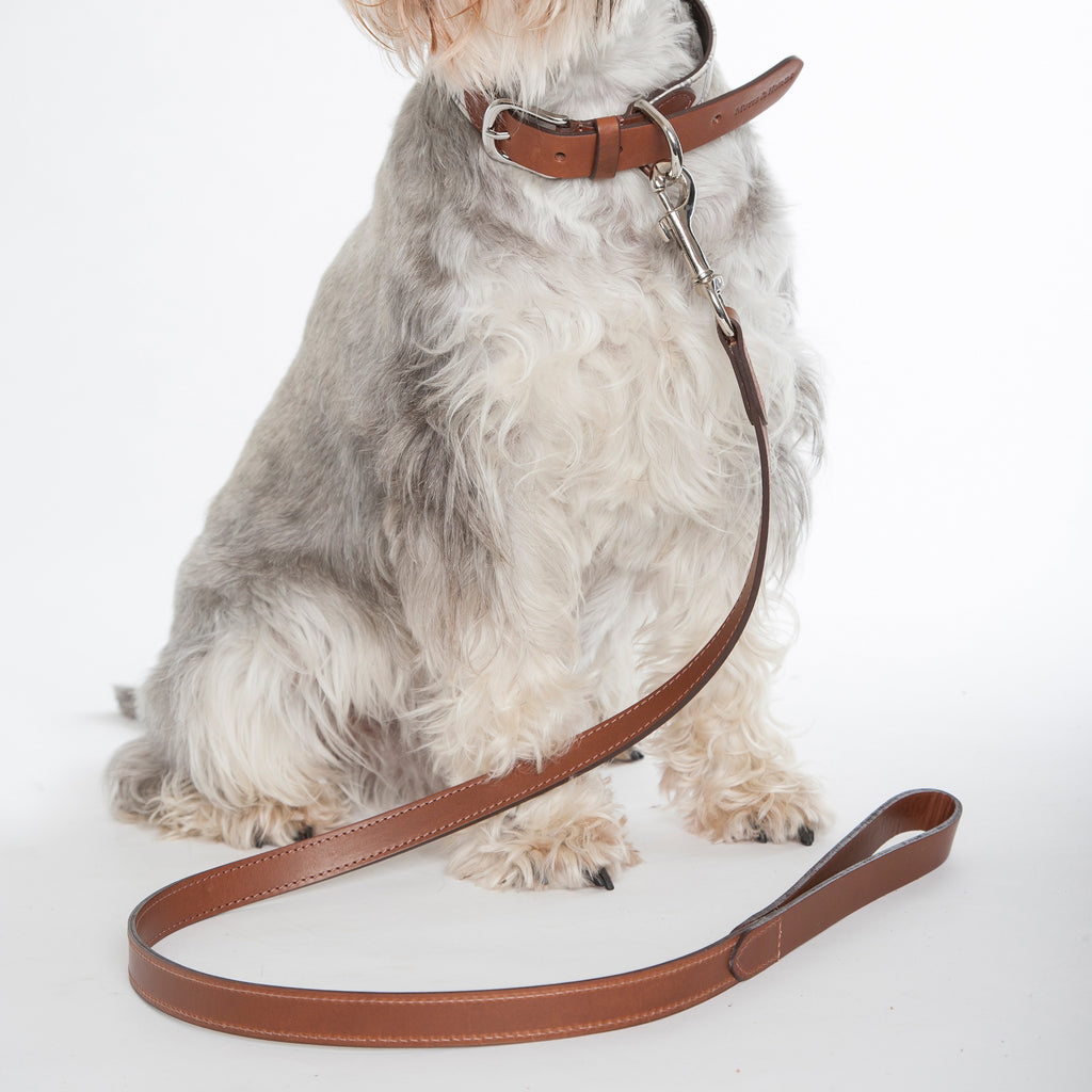 Tweed & Leather Dog Leash - Balmoral - NEW PETS ON THE BLOCK.COM