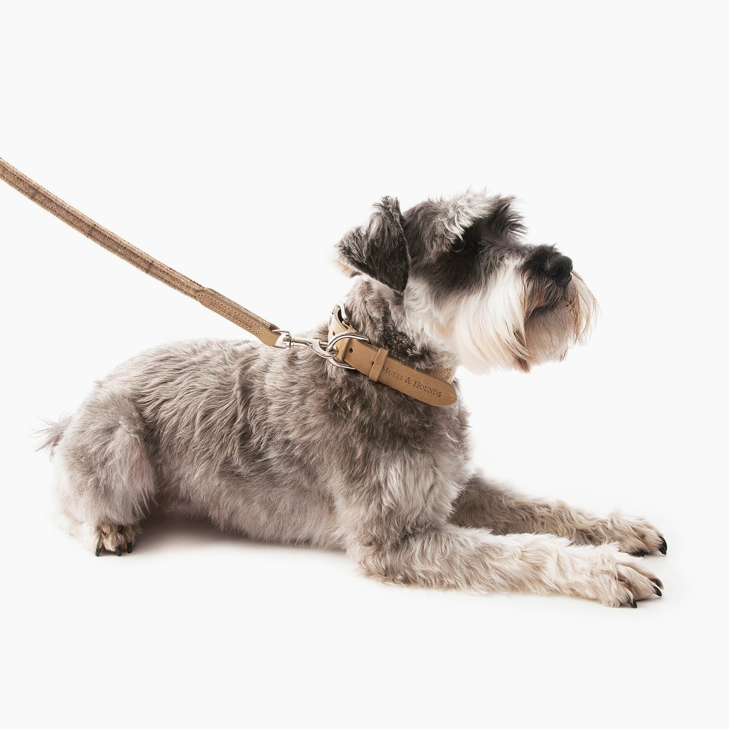 Tweed & Leather Dog Leash - Oatmeal - NEW PETS ON THE BLOCK.COM