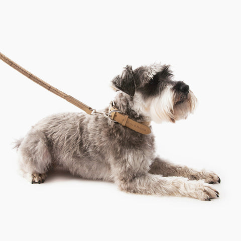 Tweed & Leather Dog Leash - Oatmeal