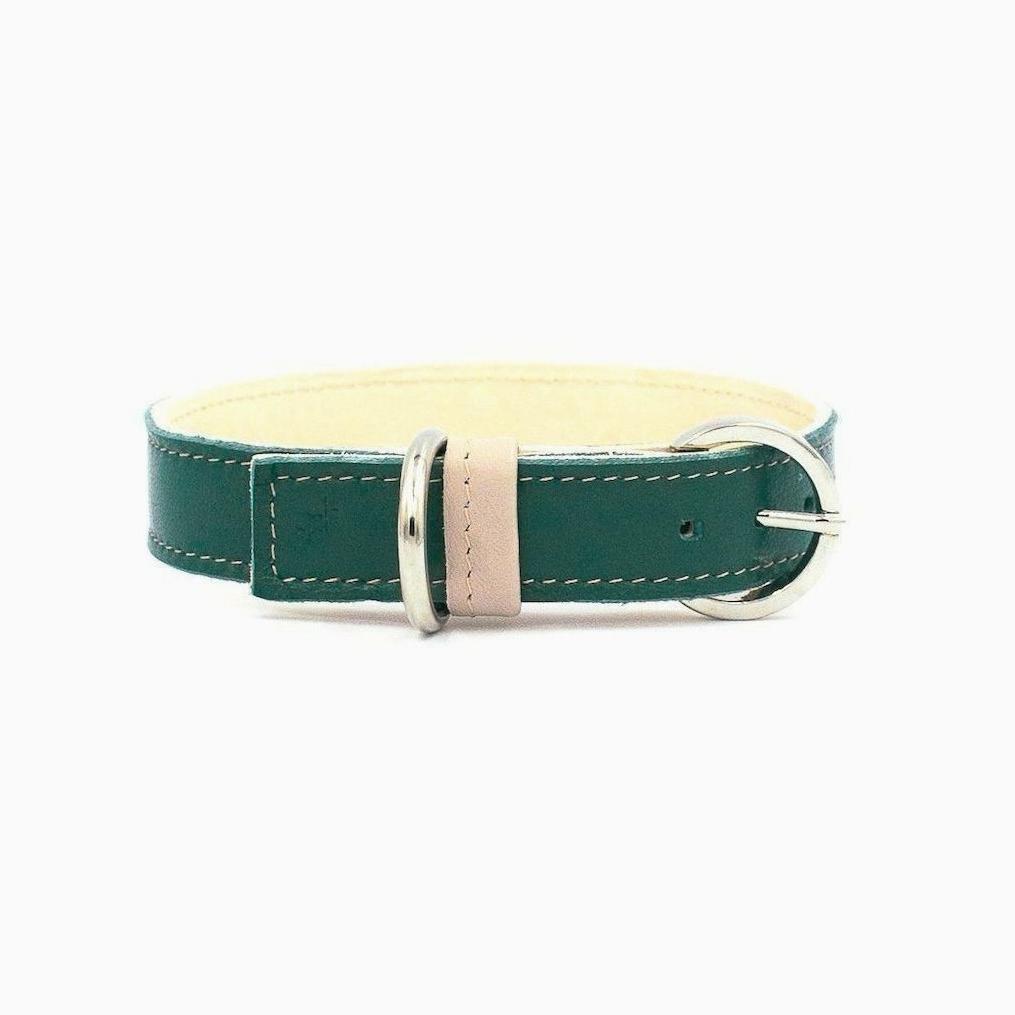 Minimalist Dog Collar - Forest Green - NEW PETS ON THE BLOCK.COM