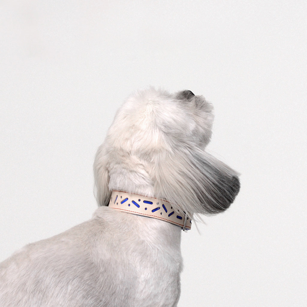 Bauhaus Fix Dog Collar - Blue - NEW PETS ON THE BLOCK.COM