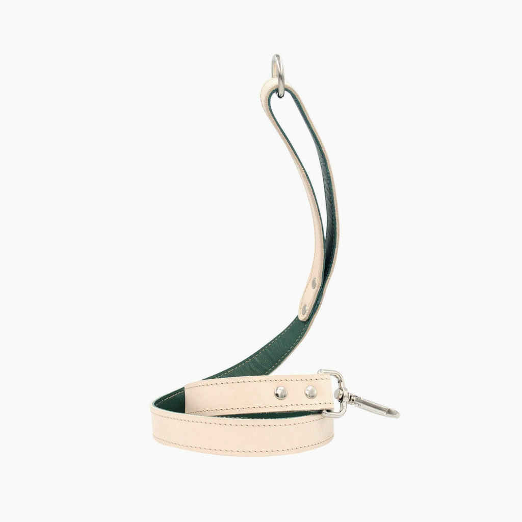 Minimalist Fixed Dog Leash - Forest Green - NEW PETS ON THE BLOCK.COM