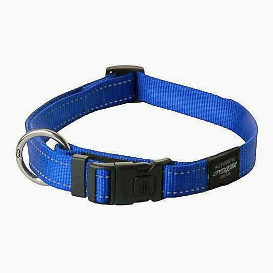 Durable Dog Collar - Dark blue - NEW PETS ON THE BLOCK.COM