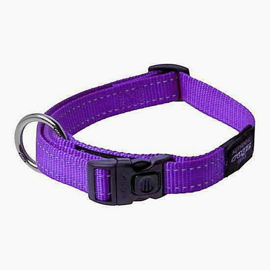 Durable Dog Collar - Purple - NEW PETS ON THE BLOCK.COM