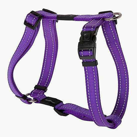 Durable H Dog Harness - Purple - NEW PETS ON THE BLOCK.COM