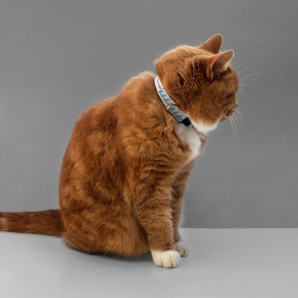 Nice Grill Cat Collar - Sky & Ice Blue - NEW PETS ON THE BLOCK.COM