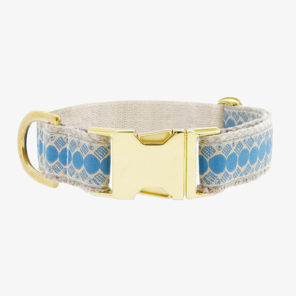 You’re A Stud Dog Collar - Cream & Lake Blue - NEW PETS ON THE BLOCK.COM