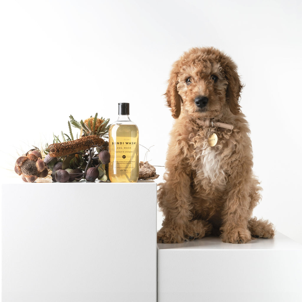 Dog Wash Paperbark & Lemongrass - NEW PETS ON THE BLOCK.COM
