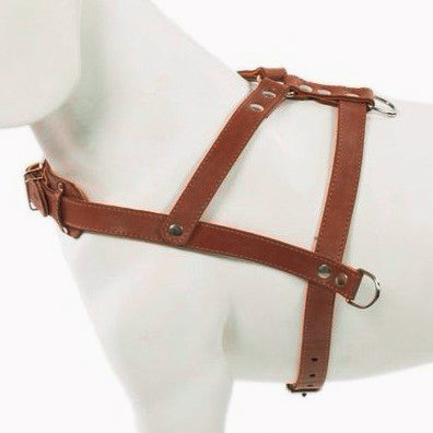 New pets on the block durable non pull dog harness leash matching set brown sale