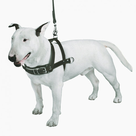 Durable Non-Pull Leather Dog Harness - Black